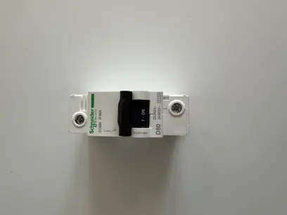 Jistič C120N 1P 80A  D